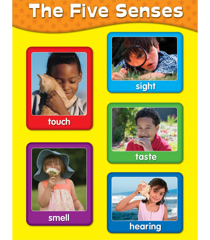 The Five Senses Chart Grade PK2 CarsonDellosa Publishing